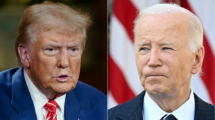 Vor Empfang im Wei&szlig;en Haus: Trump nominiert weitere Minister - wichtiger Posten f&uuml;r Musk