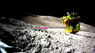 Apesar de problemas, módulo espacial japonês realizou pouso preciso na Lua