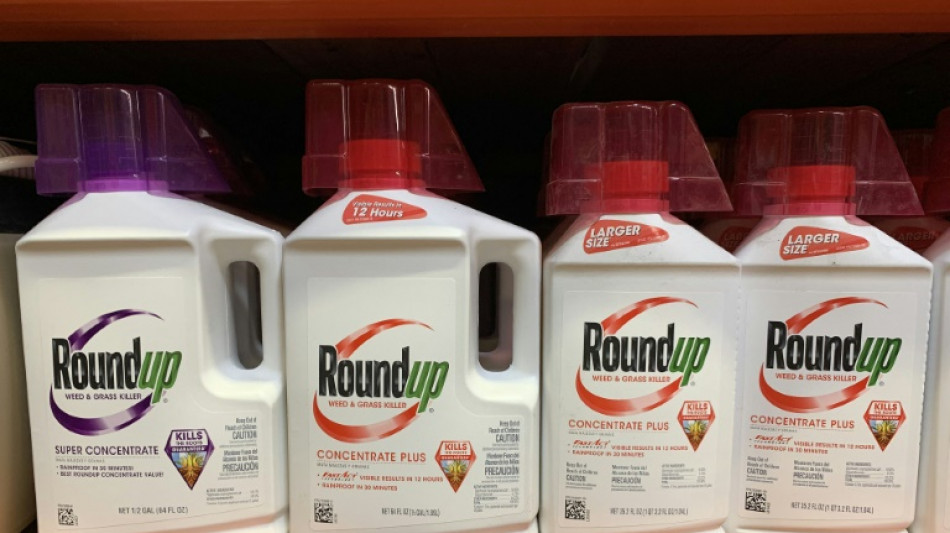 Glyphosate: des ONG s'inquiètent après une étude évoquant des risques de cancer