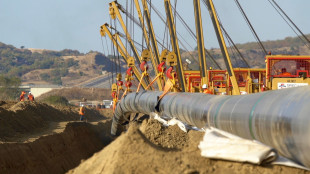 Il prezzo del gas sale in avvio ad Amsterdam a 34,3 euro