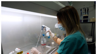 Tumore al pancreas, trovata la proteina che lo rende resistente ai farmaci