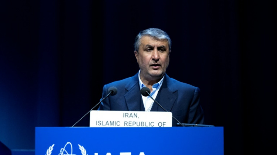 Inspectores del OIEA llegan a Ir&aacute;n para "aclarar ambig&uuml;edades"