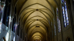 Estrellas de la m&uacute;sica cl&aacute;sica en el concierto de reapertura de Notre Dame de Par&iacute;s