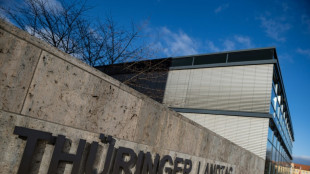 Th&uuml;ringer Gr&uuml;ne w&auml;hlen Spitzenduo f&uuml;r Landtagswahl im September