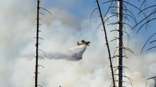 Kampf gegen Waldbrand am Brocken: Flammen laut Beh&ouml;rden unter Kontrolle