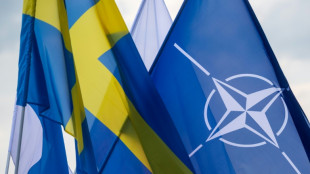 Macron best&auml;tigt Frankreichs Zustimmung zum Nato-Beitritt Finnlands und Schwedens