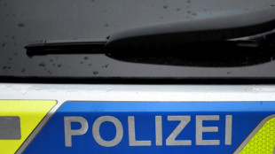 Polizei rettet Ponys von Autobahn in Schleswig-Holstein