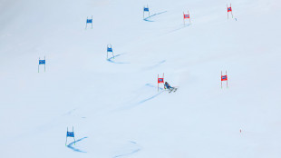 Cdm: Hector guida il gigante a Spindleruv, Della Mea ottava