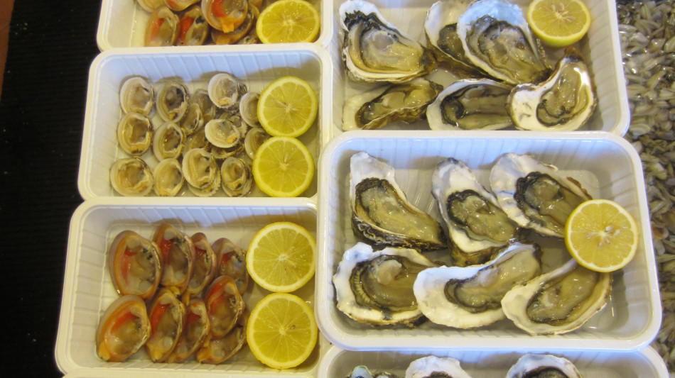 Iss, 160 casi di epatite A solo a marzo nel 2026, 110 in Campania