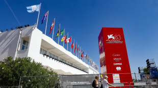 Venice4Palestine rilancia la richiesta alla Mostra, 'issate la bandiera palestinese'