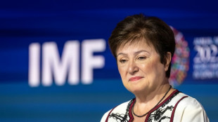 IWF fordert mehr Investitionen in Deutschland und weniger Schulden in S&uuml;deuropa