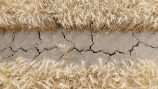 Mozione Usa crea stallo di documenti alla Wmo, l'agenzia Onu per il clima