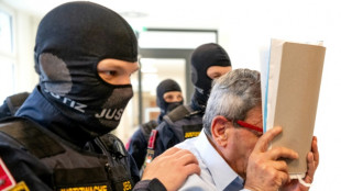 Two Syrians deny civil war torture accusations in Austria trial