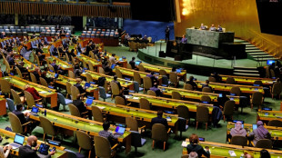 L'ONU appel&eacute;e &agrave; voter sur une obligation de justifier le recours au veto
