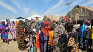 UN Sudan probe finds 'hallmarks of genocide' in El-Fasher