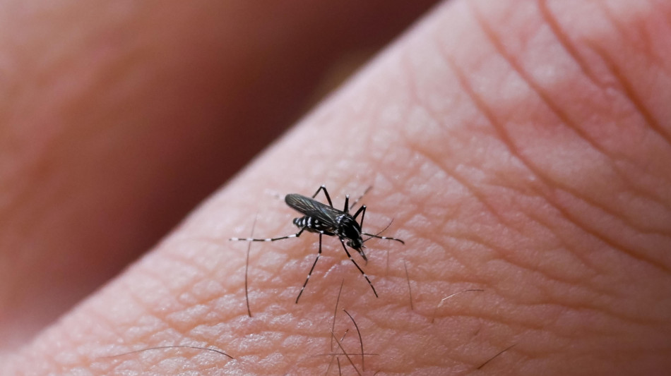 West Nile, 13/o caso in Sardegna sempre nell'Oristanese