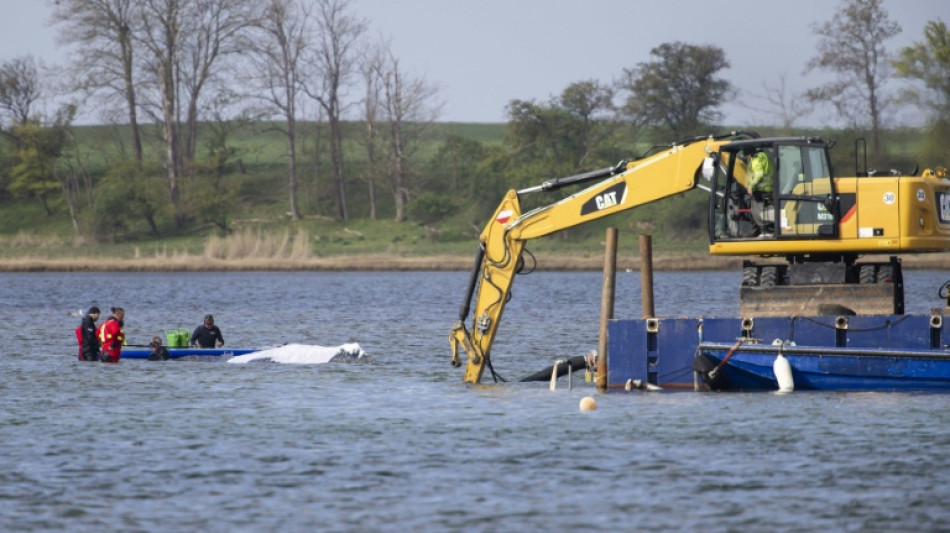 Warten auf Ankunft von Spezialschiff: Waldrama vor Ostseeinsel Poel geht weiter