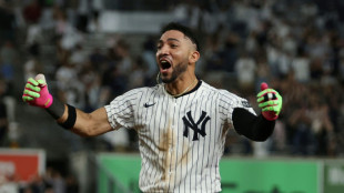 Yankees clinch MLB playoff berth with walk-off win over White Sox
