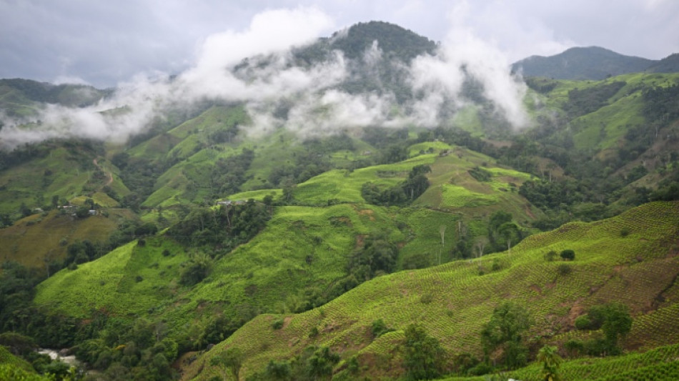 Colombian FARC dissidents take 29 soldiers, police captive 
