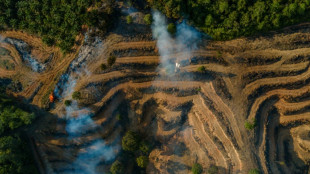 Indon&eacute;sie: des entreprises soup&ccedil;onn&eacute;es de fraude ont fourni des producteurs europ&eacute;ens de biofioul