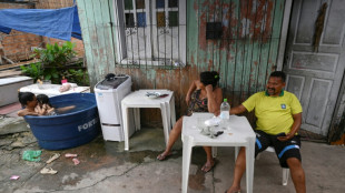 &Agrave; margem da COP30, comunidade em Bel&eacute;m luta contra esquecimento da Amaz&ocirc;nia urbana