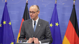 Merz, 'Zelensky ha il pieno sostegno degli europei'
