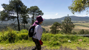 Inician la búsqueda de más de un centenar de desaparecidos en una zona boscosa de Ciudad de México