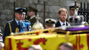Guillermo y Enrique: juntos en el funeral de la reina, todav&iacute;a alejados