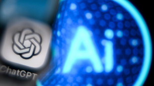 &iquest;Abrazar de lleno la IA? Las empresas prefieren un camino lento pero seguro