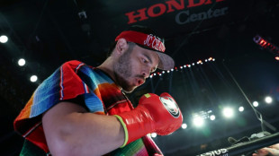 Mexikanischer Boxer Julio César Chávez Jr. von US-Einwanderungsbehörden festgenommen