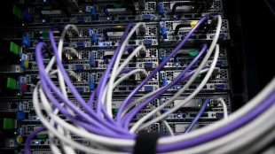 La fronde s'organise contre le projet de centre de donn&eacute;es Google pr&egrave;s de Ch&acirc;teauroux