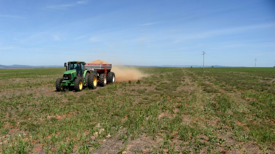 Erzeugerpreise f&uuml;r landwirtschaftliche Produkte steigen im Jahresvergleich