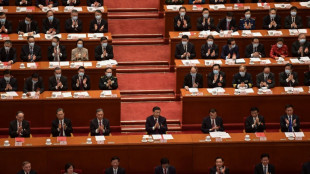 Parlamento chino se enfocar&aacute; en estimular a la econom&iacute;a en declive