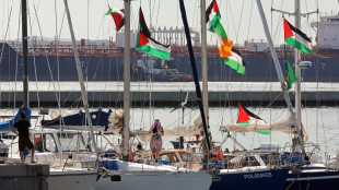Ue, 'inaccettabile l'uso della forza contro la Flotilla'