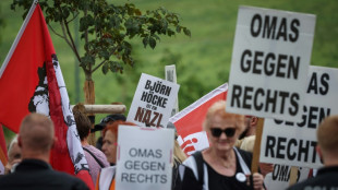 Rund 2000 Menschen demonstrieren in Magdeburg gegen AfD-Parteitag
