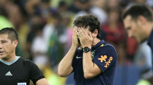 Medien: Brasilien entl&auml;sst Chefcoach Diniz