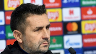 Struggling Union Berlin name Bjelica as coach