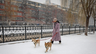 Cnn, presto in Cina ci saranno pi&ugrave; animali domestici che bimbi