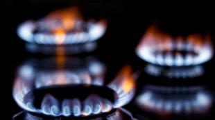Il prezzo del gas chiude in rialzo a 28,78 euro al megawattora