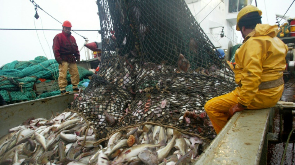 EU-Fischereiminister verhandeln &uuml;ber Fischfangquoten in der Ostsee