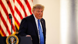 Trump, 'parlo con Putin, non intende attaccare i territori della Nato'