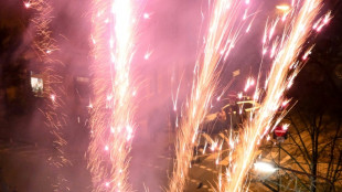 Nordrhein-Westfalen: Unbekannte stehlen 350 Kilogramm Pyrotechnik aus Container