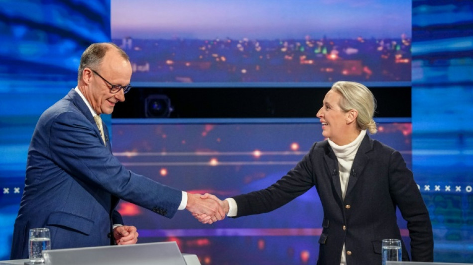 Weitere Umfrage sieht AfD gleichauf mit Union - Linke schließt zu Grünen auf