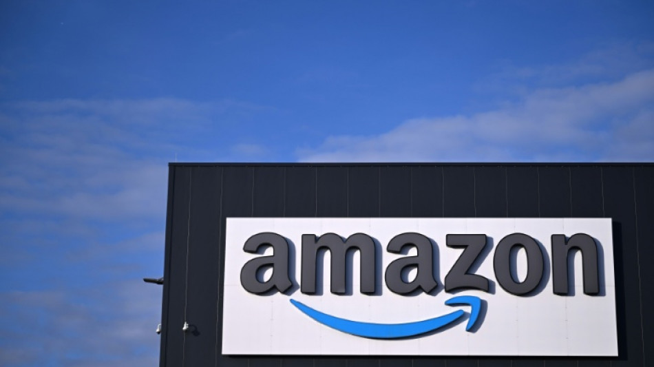 Amazon retire de la vente un livre de "dark romance" mis en cause pour p&eacute;docriminalit&eacute;