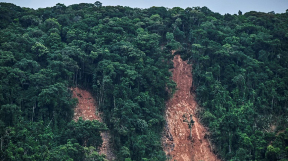 Cambio clim&aacute;tico y urbanismo descontrolado: causas de mortales lluvias en Brasil