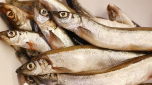 Borsa della spesa, il ciclone Harry colpisce il settore ittico