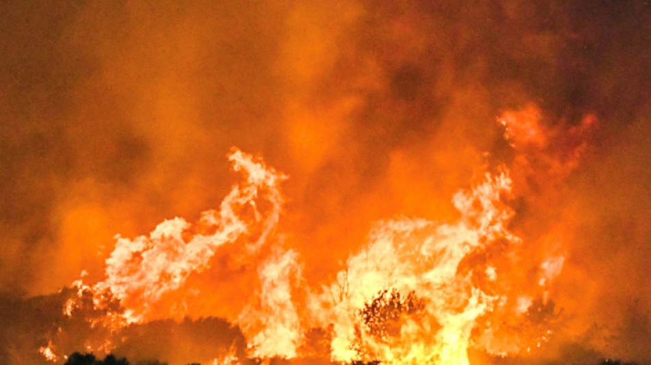 Griechische Feuerwehr erwartet "sehr schwierigen Tag" bei Kampf gegen Waldbrände