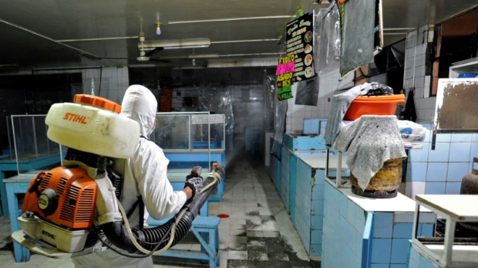 La pandemia de coronavirus mat&oacute; a entre 13,3 y 16,6 millones de personas en 2020 y 2021