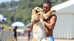 Totti e Noemi a Sabaudia: il nuovo cane ruba la scena prima del divorzio