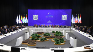 Il Mercosur avvia ufficialmente i negoziati per un accordo commerciale con il Vietnam